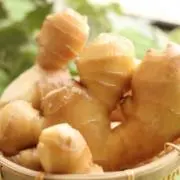 Gingerの画像