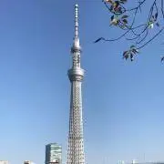スカイツリーの画像