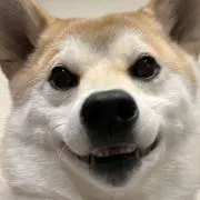 ロンハーmanの画像