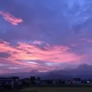 まりりん