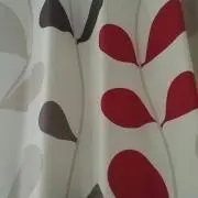 メロンの画像