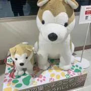 ホー　タイン　トゥン