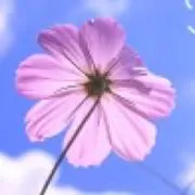 NAKOの画像