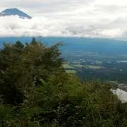 ナマハムメロン