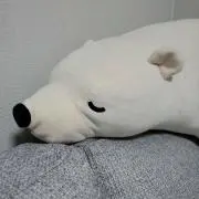 ゆっぴーの画像