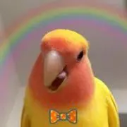 ありこ