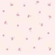 ⭐即購入OK⭐ Cherry’sの画像