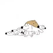 杉てぃむの画像