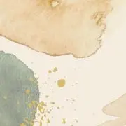 ヒナの画像