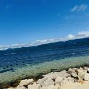 MAMIの画像
