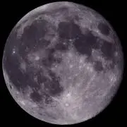 くも