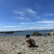 たお