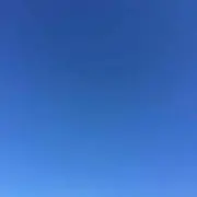 yogurtの画像