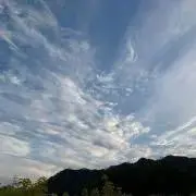 SKYの画像
