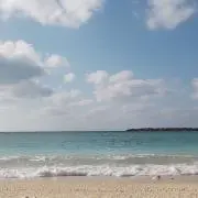 ゆこの画像