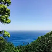 おでこの画像