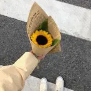あんこの画像