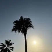 7月4日発送お休み プロフ必読の画像