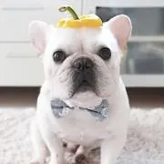 ごん