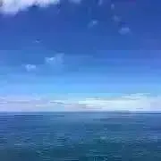 シャカの画像