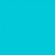 オトコ