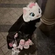 湯豆腐の画像