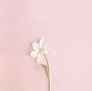 ❤️なつぴ❤️即購入OK♡*.。の画像