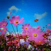 syt5364の画像