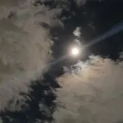 sachiの画像