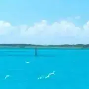b.の画像