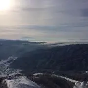 トラ