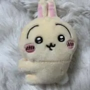うさの画像