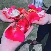 re:o＝K 見る専用の画像