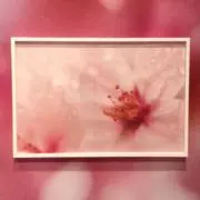 mii12の画像