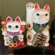 こまめの画像