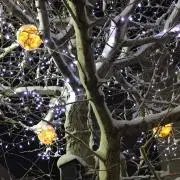 みんの画像