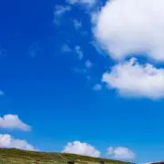 ソラシド