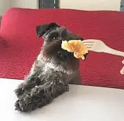 キャサリン