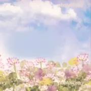 uzuranの画像