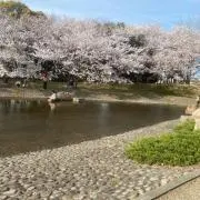 しん