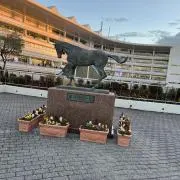 KKの画像