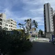 Yokokoの画像