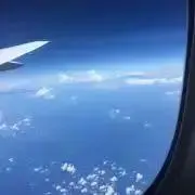 Mikaの画像