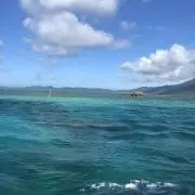 melの画像