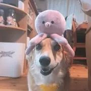 みきママ