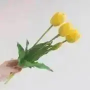 ❁iruka❁の画像