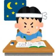 ぱろにの画像