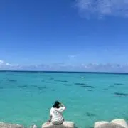 kpの画像