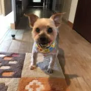 ヒロくんの画像