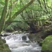 takka
